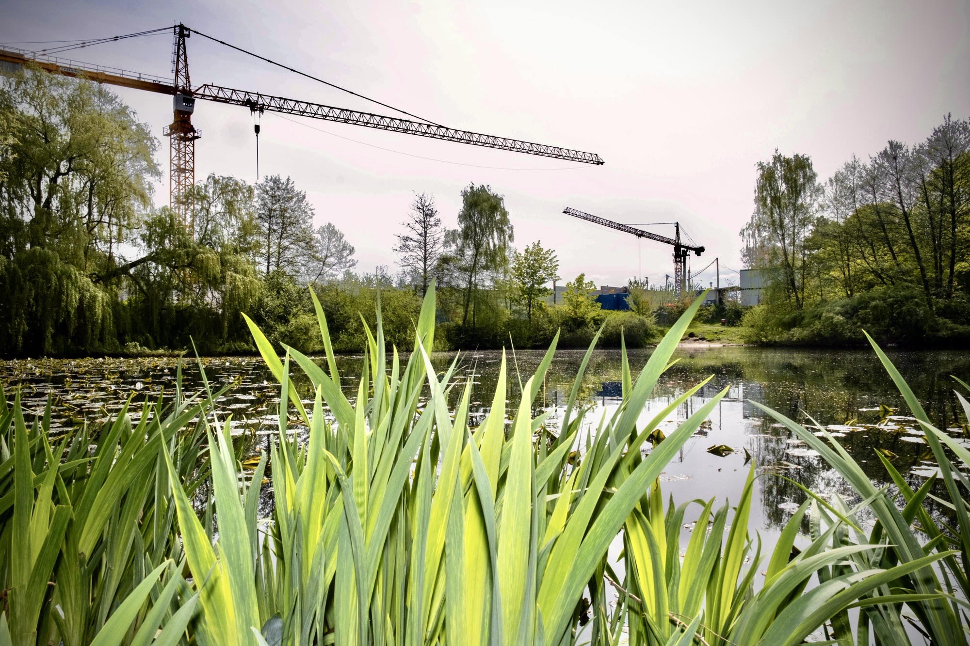 Du betrachtest gerade GESTUCHT: WASSER und WASSERGESCHICHTEN